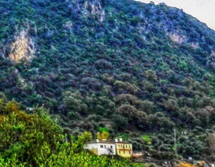 Alto De Torrecillas El Bosque Eksteriør bilde