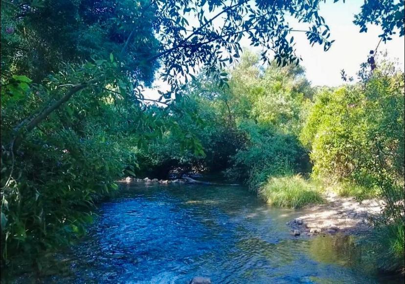 Alto De Torrecillas El Bosque Eksteriør bilde